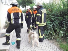 21. September 2011: Dringende Türöffnung in der Mozartstraße. Die Feuerwehr passte dabei auf den Hund des Wohnungsbesitzers auf.