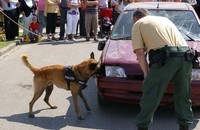 Vierbeiniger Gast im Jahre 2009: Ein Drogenspürhund der Polizei zeigte, wie schnell er Rauschgift-Verstecke ausfindig machen kann.